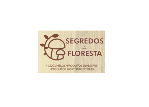 Segredos da Floresta